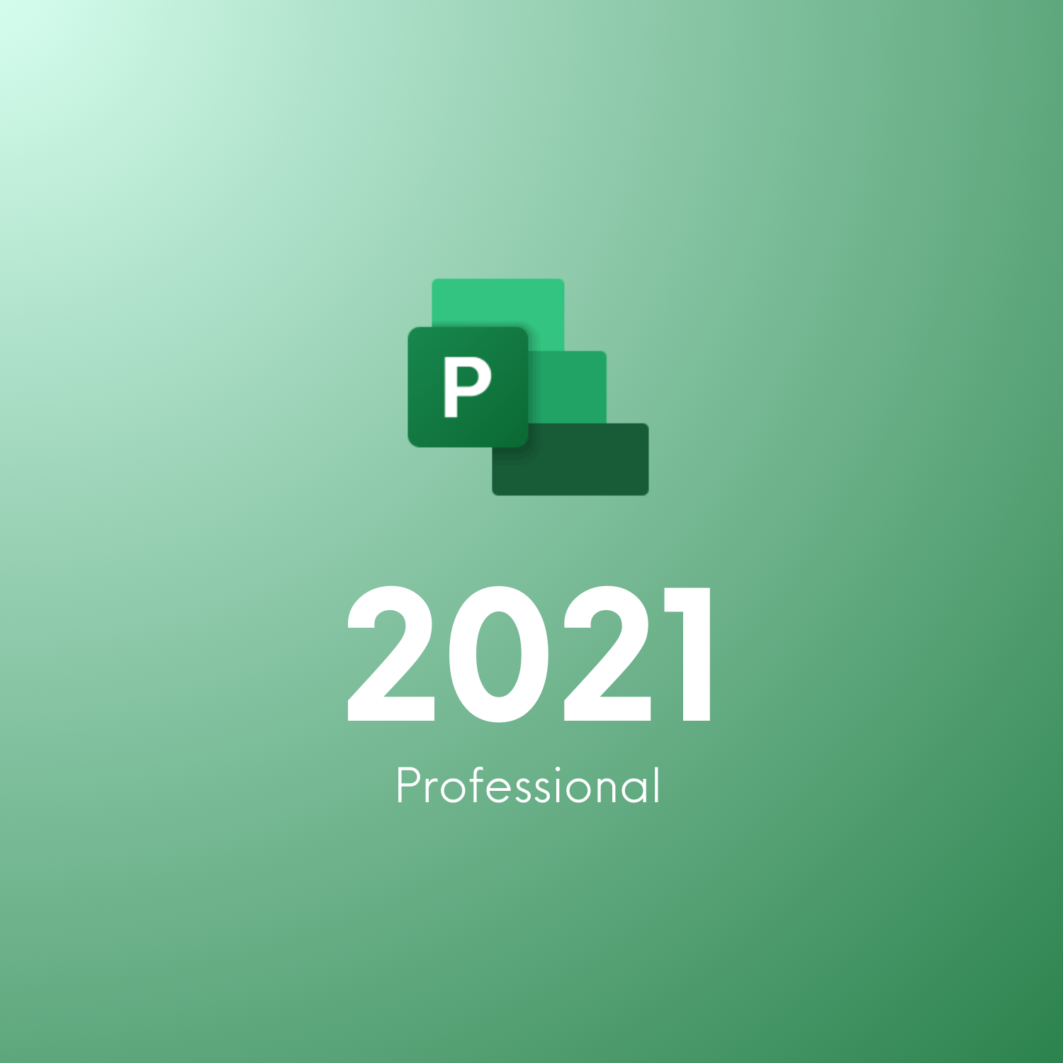 Project 2021 Professional